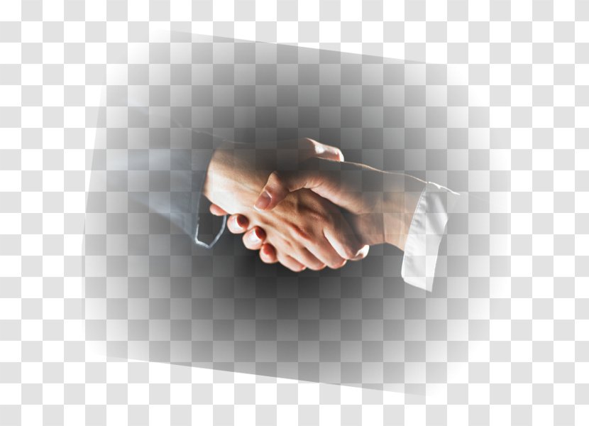 Business Organization Dyal Capital Partners Management Teamwork - Computer Software Transparent PNG