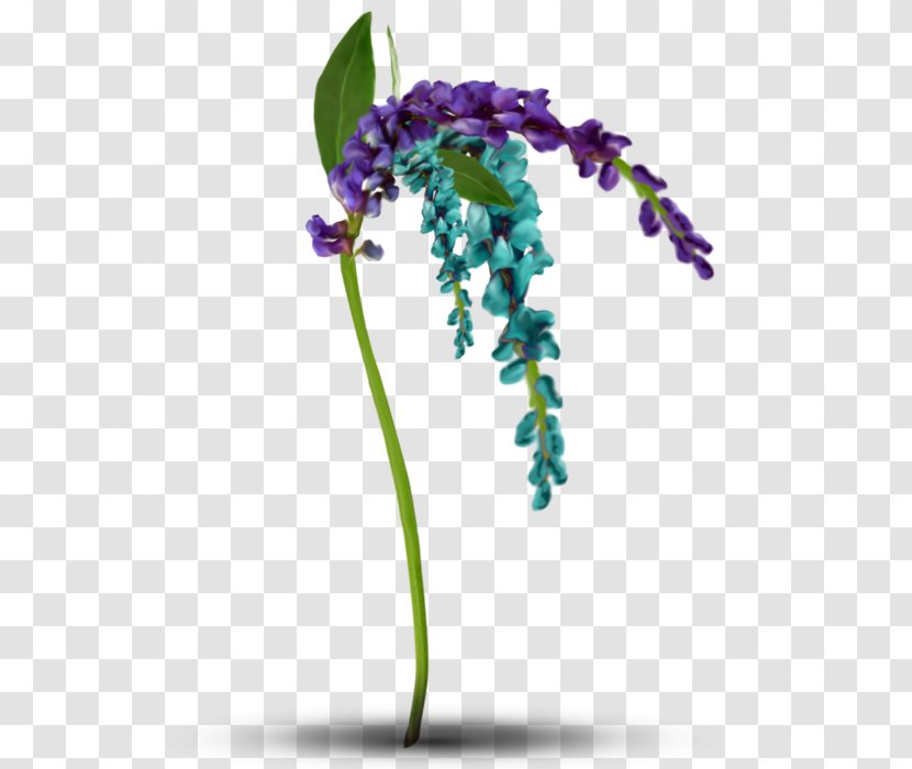 Lavender Violet Plant Stem - Flora Transparent PNG