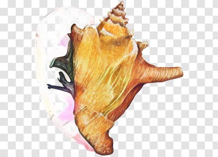 Snail Cartoon - Fish - Musical Instrument Wind Transparent PNG