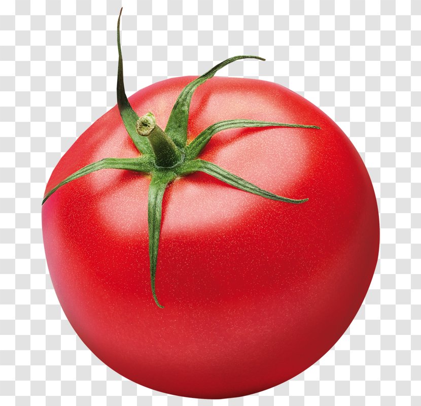 Plum Tomato Vegetable Bush Ketchup - Sauce Transparent PNG