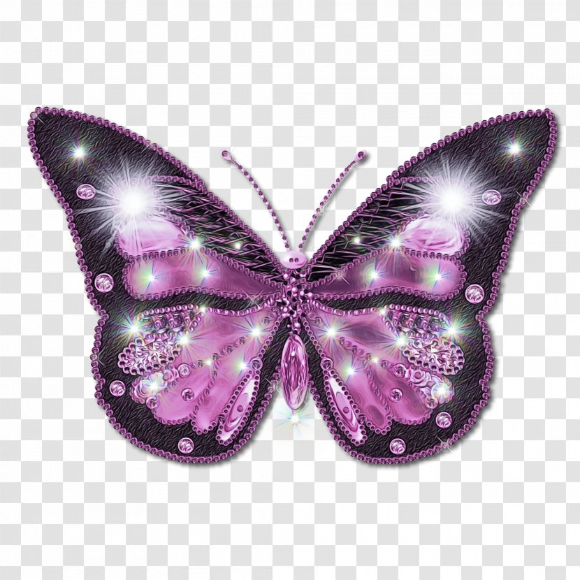 Watercolor Butterfly Background - Moth - Symmetry Brushfooted Transparent PNG