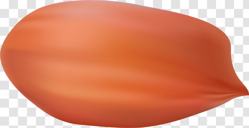 Orange Petal Flower - Designer Transparent PNG