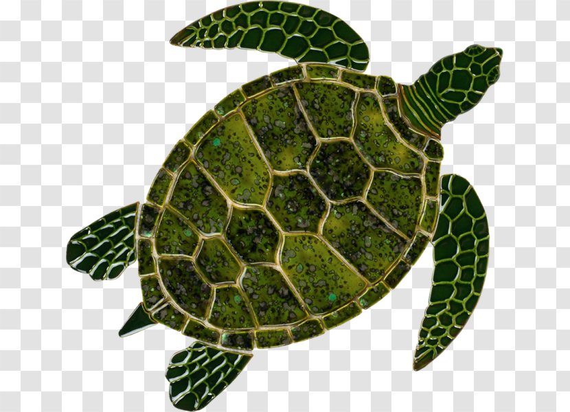 Loggerhead Sea Turtle Tortoise Green - Terrestrial Animal Transparent PNG