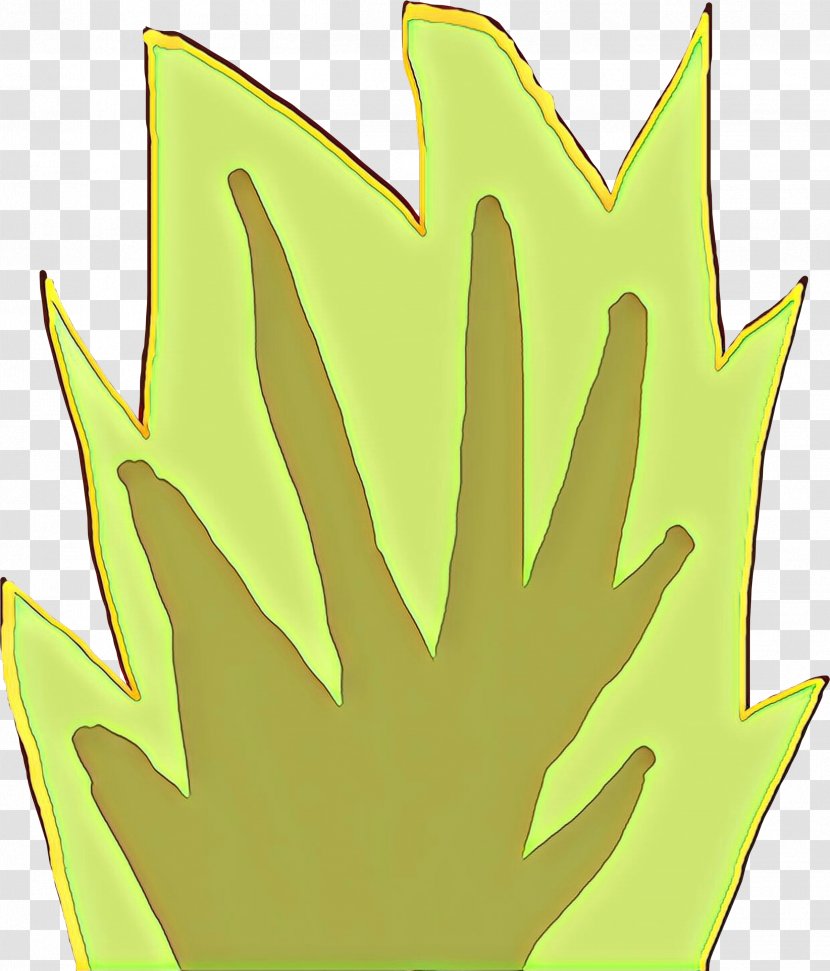 Leaf Green Yellow Plant Tree Transparent PNG