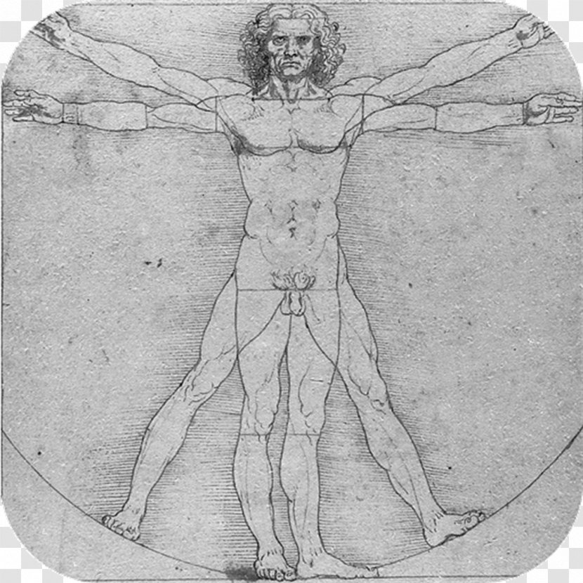 Vitruvian Man Anatomical Drawings Anatomy Human Body - Silhouette - Heart Transparent PNG