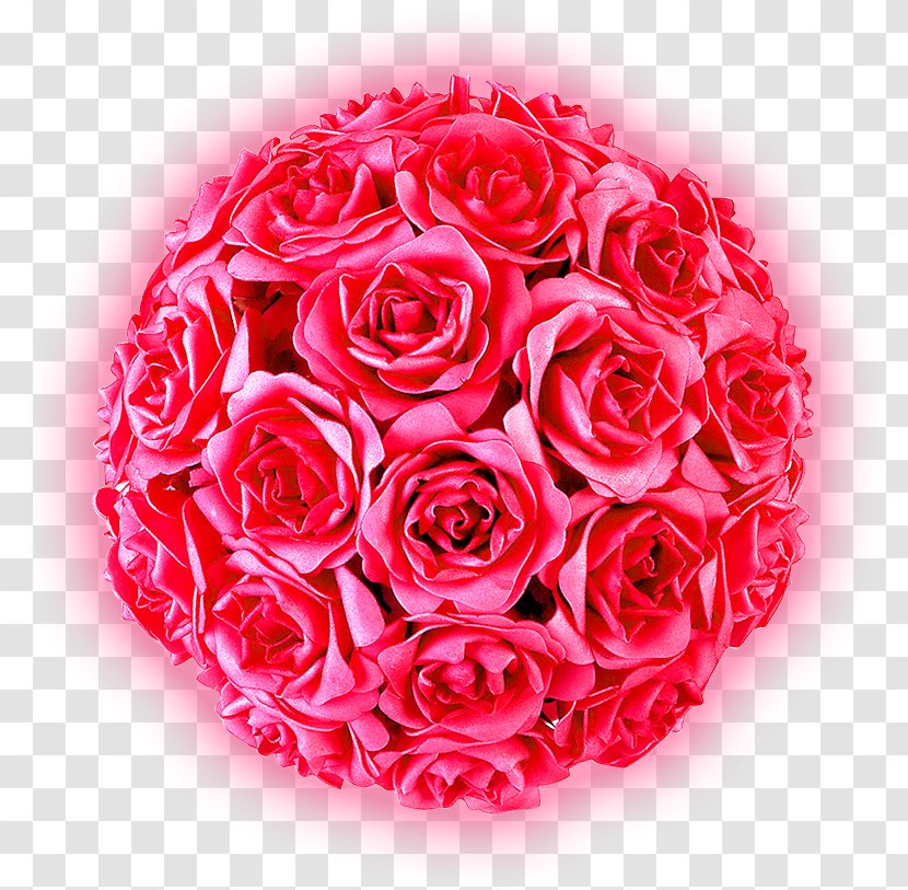 International Womens Day Woman Romance - Rose Family Transparent PNG