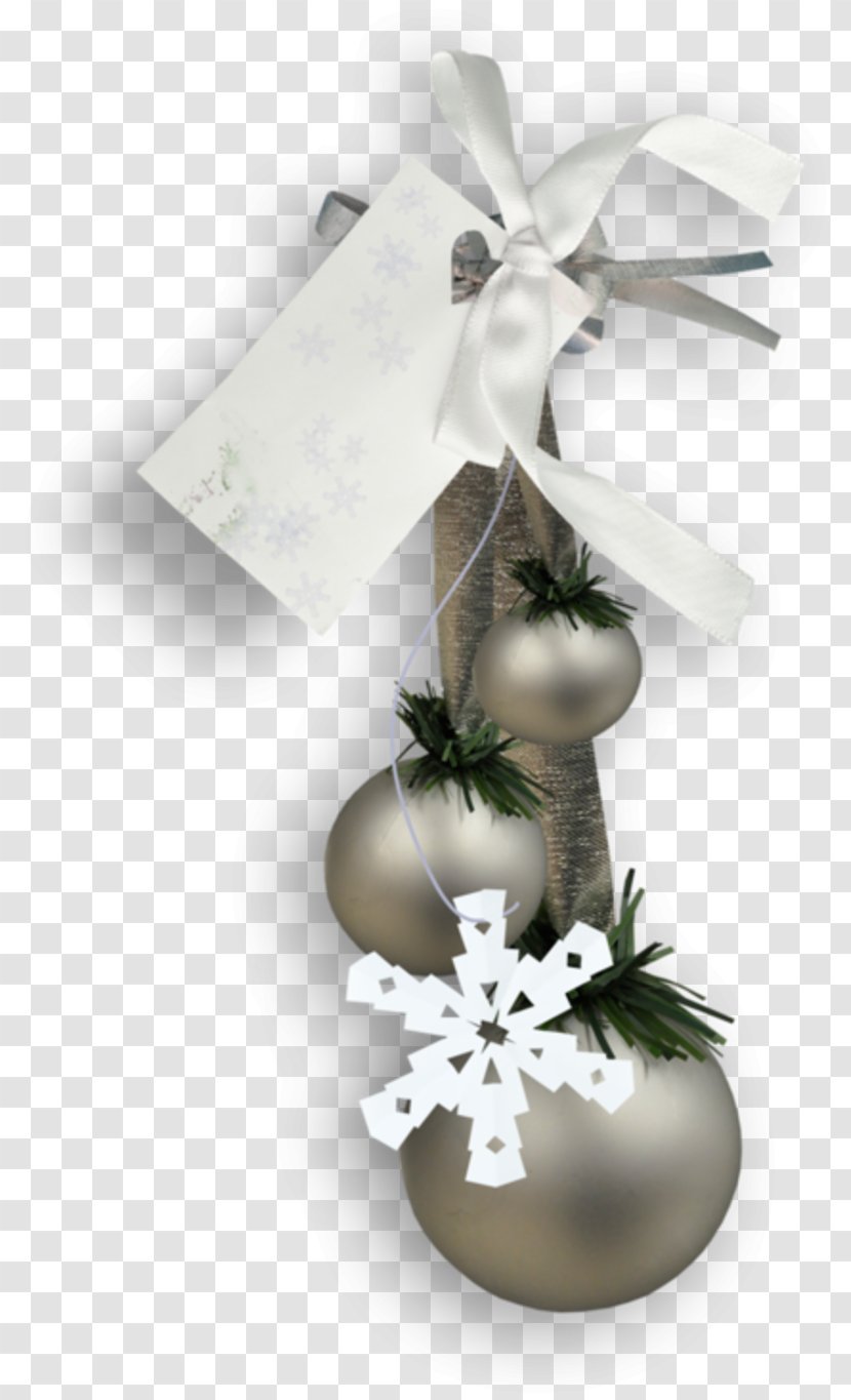 Christmas Day Holiday New Year Image - Plant - Forgetmenot Flyer Transparent PNG