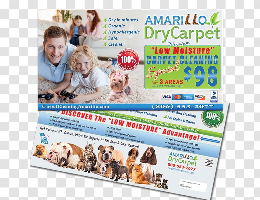 Amarillo DryCarpet Services Product Dry Carpet Cleaning Advertising - Marketing Card Transparent PNG