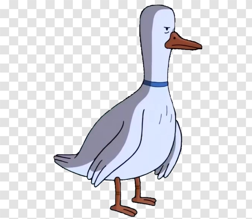 Domestic Goose Boobafina Duck Mallard - Livestock - Free Download Transparent PNG