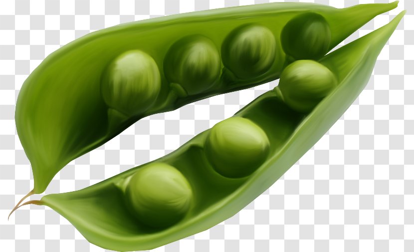 Pea Ervilha Petit Pois Legume Vegetarian Cuisine Transparent PNG