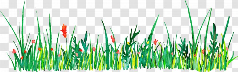 Euclidean Vector Icon - Garden - Green Grass Watercolor Decorative Pattern Transparent PNG
