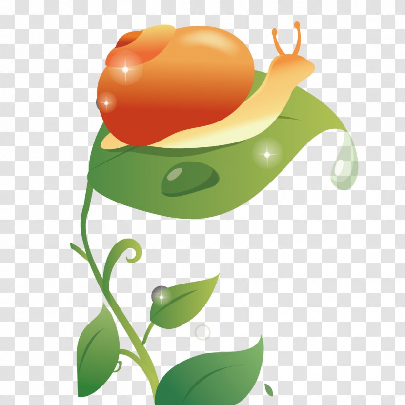 Download Royalty-free Clip Art - Child - Snail On The Leaves Transparent PNG