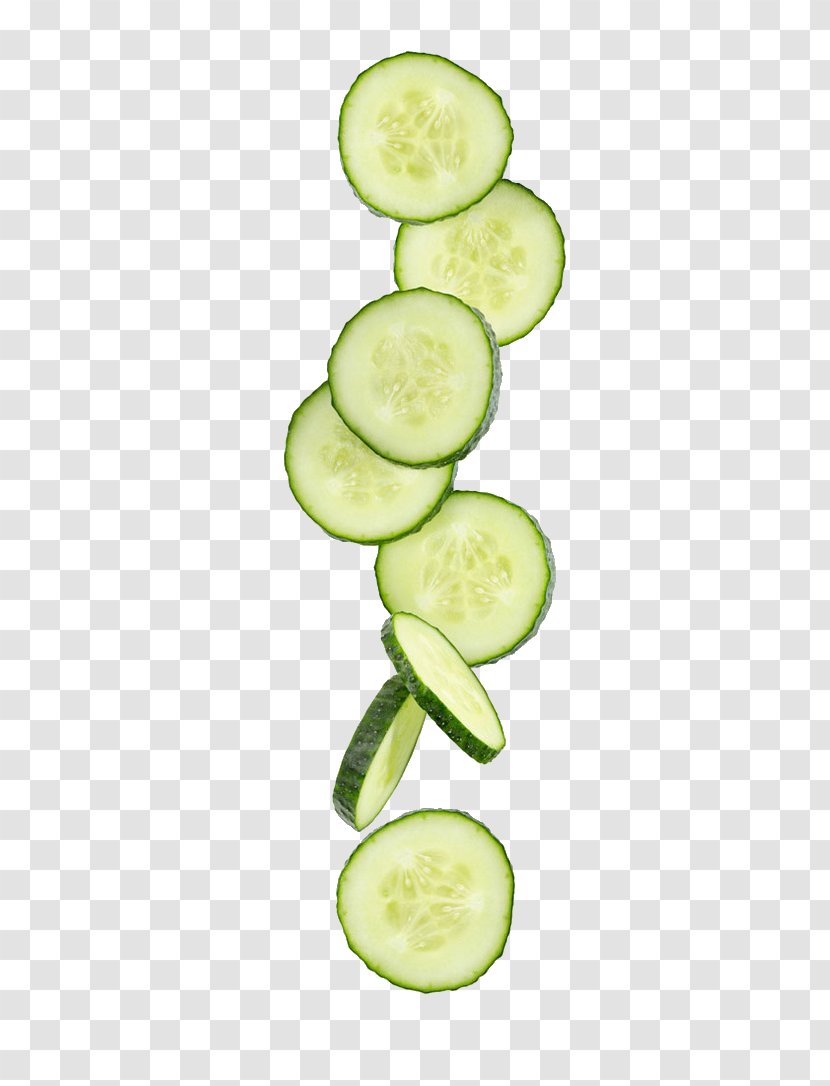 Vegetable Cucumber Schnitzel Fruit - Slices Transparent PNG