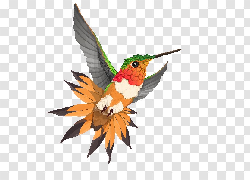 Hummingbird M Beak Wing Feather - Fauna Transparent PNG
