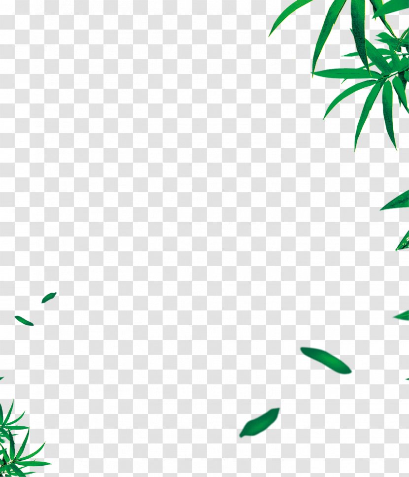 Leaf Angle Area Pattern - Fukei - Green Bamboo Leaves Background Transparent PNG
