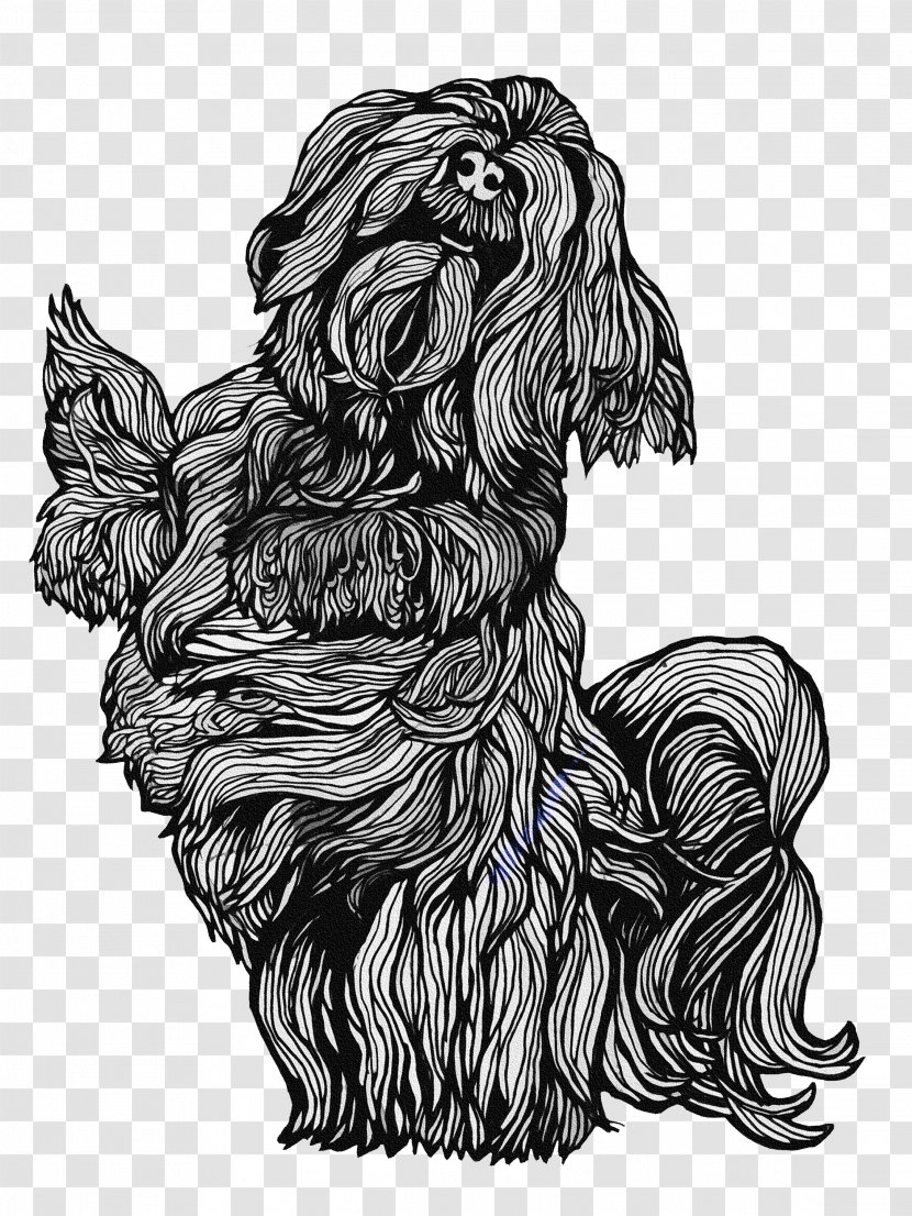 Affenpinscher Drawing Illustration Artist's Portfolio Image - Briard - Skye Terrier Transparent PNG