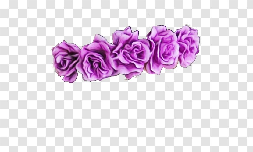 Rose - Flower - Lilac Plant Transparent PNG