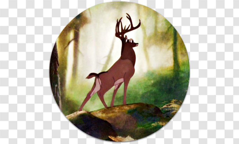 Great Prince Of The Forest Bambi, A Life In Woods Friend Owl YouTube - Bambi - Bamby Transparent PNG