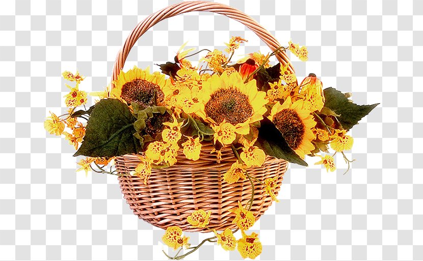 Orkut Happiness Friendship Sunday Google+ - Flower - Sunflower Transparent PNG