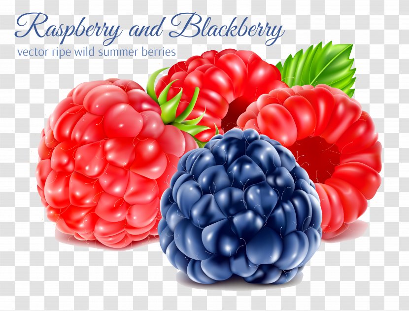 Juice Blueberry Raspberry Blackberry - Food Transparent PNG