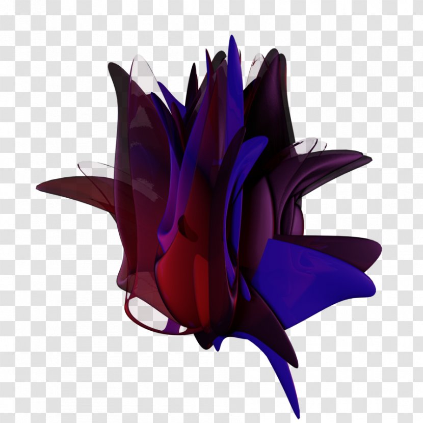 Cut Flowers Petal Flowering Plant Plants - Thang Transparent PNG