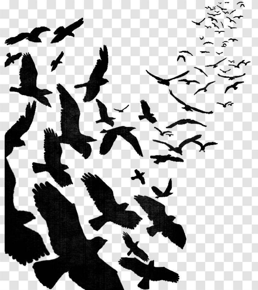 Bird Flight Flock Image - Stencil - Sona Sign Transparent PNG