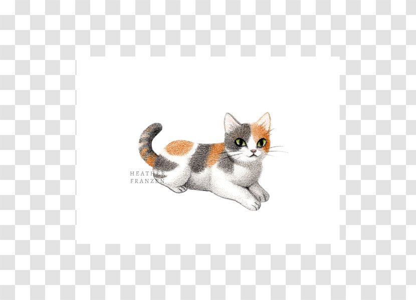 Whiskers American Wirehair Kitten Domestic Short-haired Cat Paw Transparent PNG