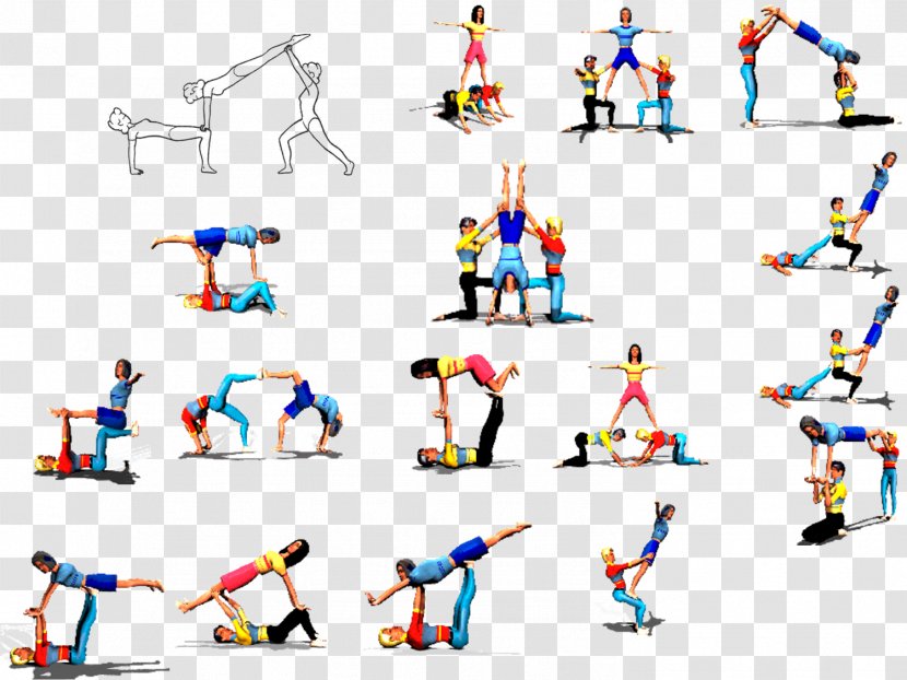 Physical Education Teacher Acrobatic Gymnastics ESO - Animal Figure Transparent PNG