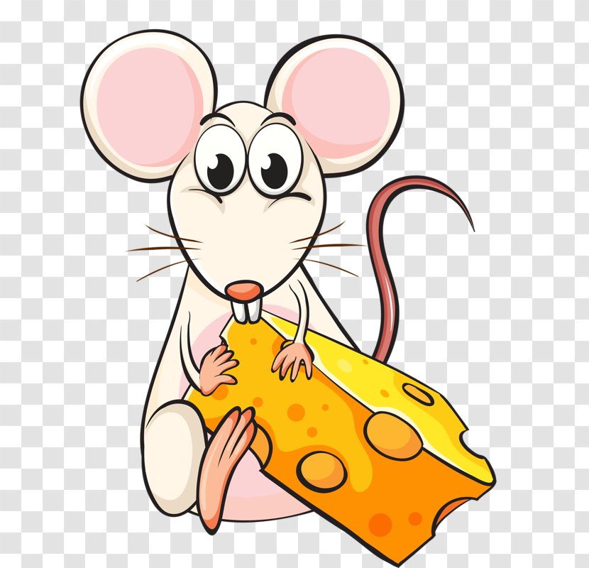 Mouse Rat Cartoon Illustration - Frame - Cheese-eating Transparent PNG