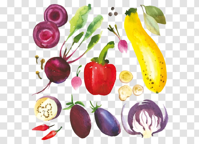 Drawing Herb Illustration - Natural Foods - Hand-painted Cartoon Vegetables Transparent PNG