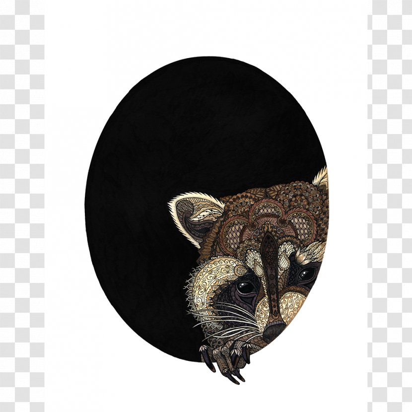 Raccoon Squirrel Bandit Drawing Transparent PNG
