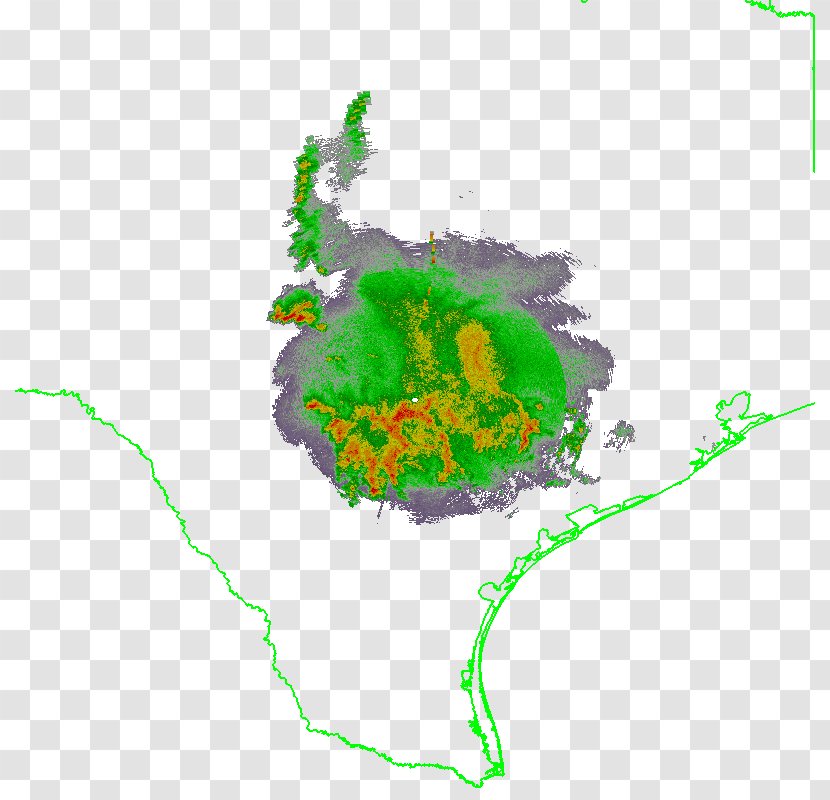 Tree Map Tuberculosis - Organism Transparent PNG