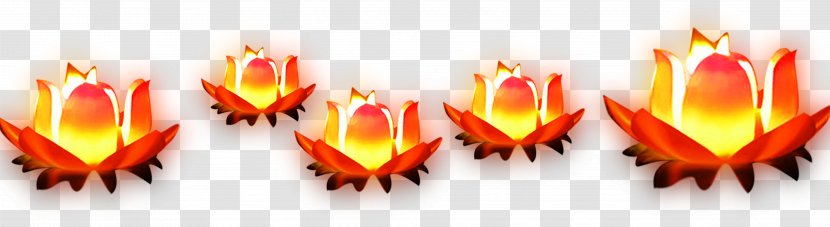 Template Software Mid-Autumn Festival - Lotus Lamp Pray For Floating Material Transparent PNG
