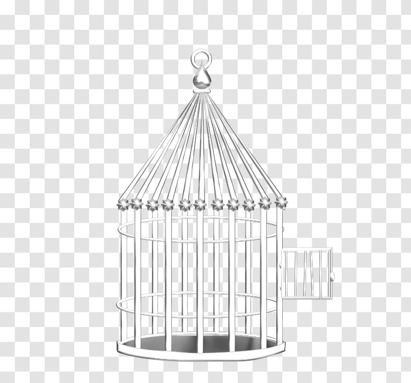 Birdcage Drawing Clip Art - Bird Transparent PNG