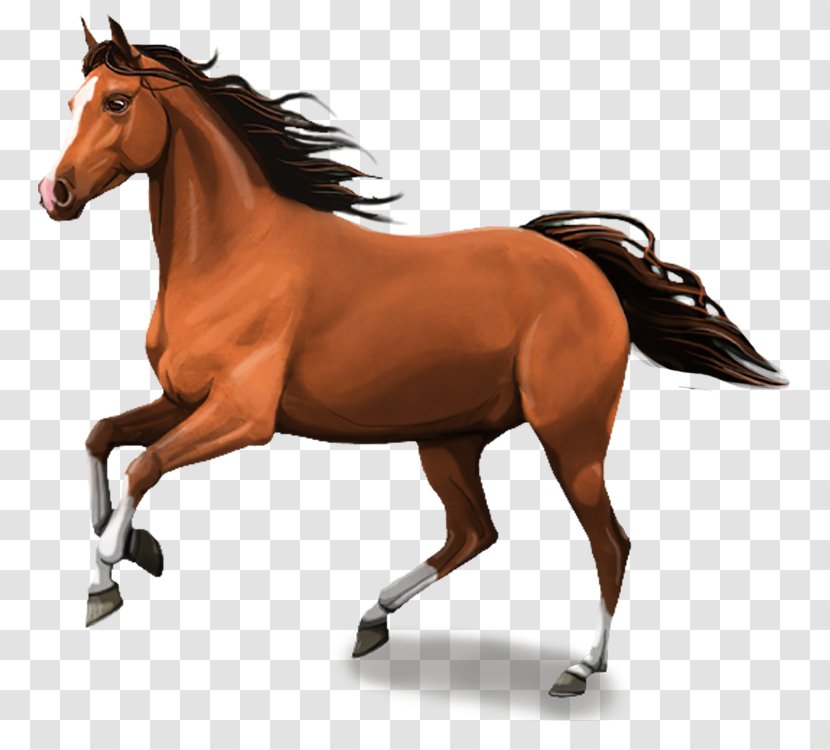 Stallion Clydesdale Horse Mare Andalusian Foal - 3d Transparent PNG