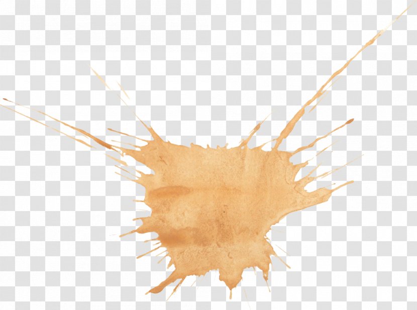 Watercolor Painting - Brown - Stain Transparent PNG