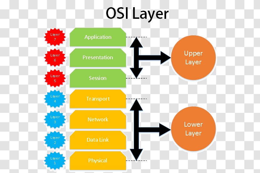 OSI Model Presentation Layer Open Systems Interconnection Computer Network Reference - Technical Standard - Motor Neuron Nissl Bodies Transparent PNG