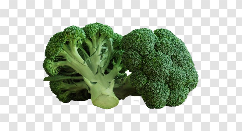 Broccoli Consommé Vegetable Food Chou - Eating Transparent PNG