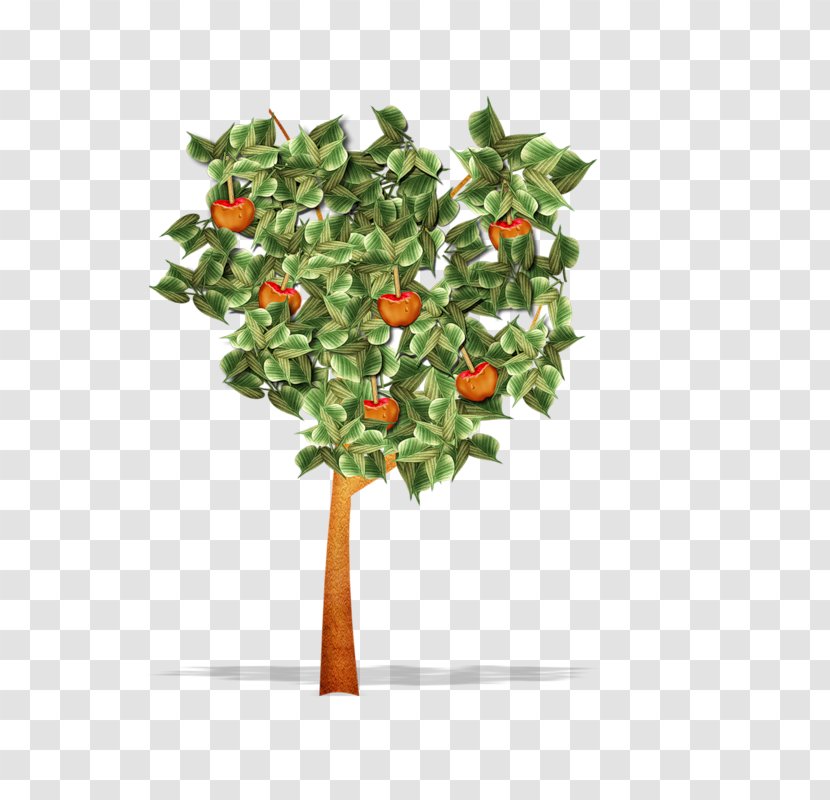 Tree - Drawing - An Apple Transparent PNG