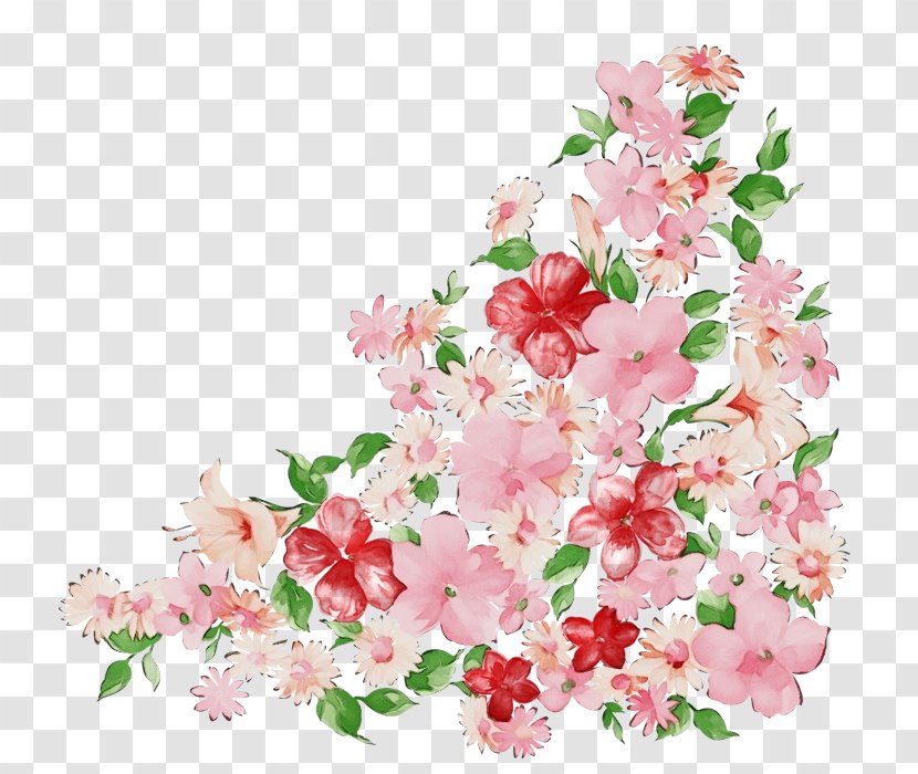 Cherry Blossom - Plant - Floral Design Cut Flowers Transparent PNG