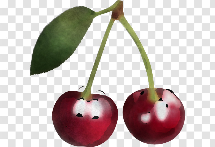 Cherry Plant Fruit Tree Food Transparent PNG