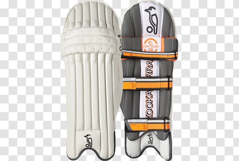 Cricket Bats Batting Sports Pads - Baseball Equipment - Player Transparent PNG