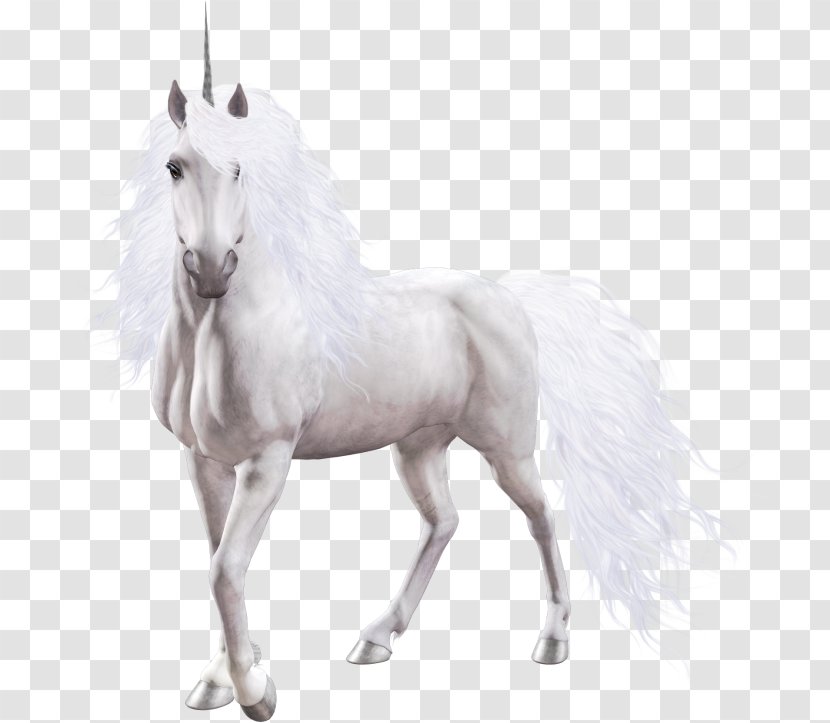 Horse Winged Unicorn Image - Black And White Transparent PNG