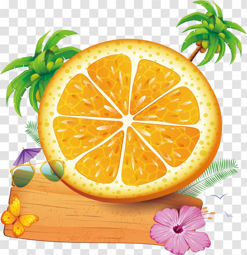 Tree Orange - Citrus - Tropical Large Decoration Shading Transparent PNG