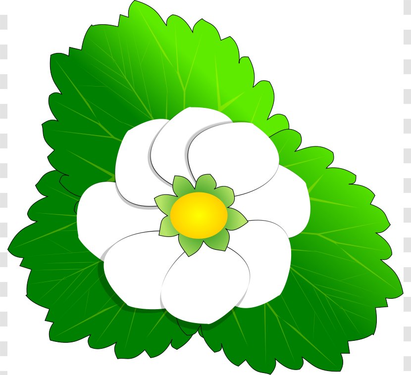 Flower Kxc5ufffdwhai Free Content Clip Art - Scalable Vector Graphics - Floral Line Cliparts Transparent PNG