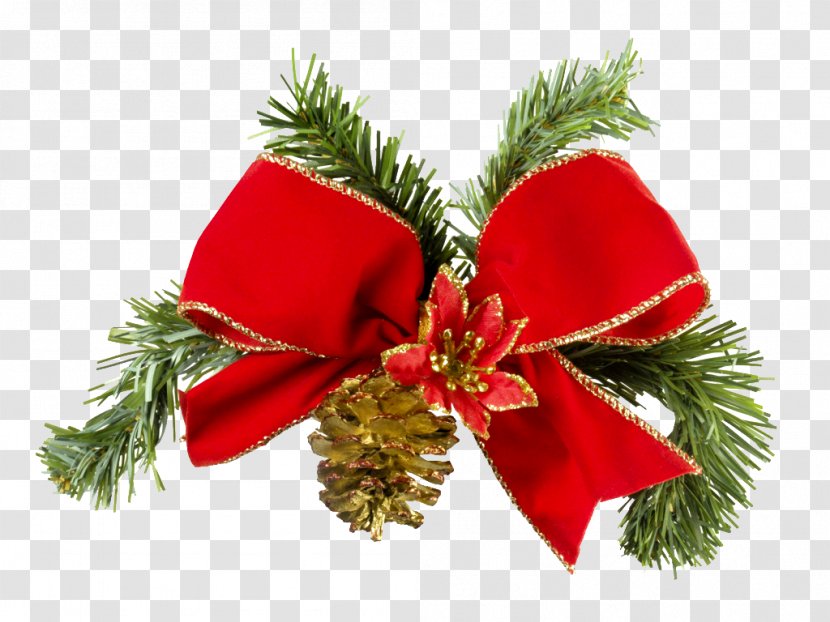 Christmas And Holiday Season Santa Claus Decoration Tree - Pine Family - Bowknot Transparent PNG