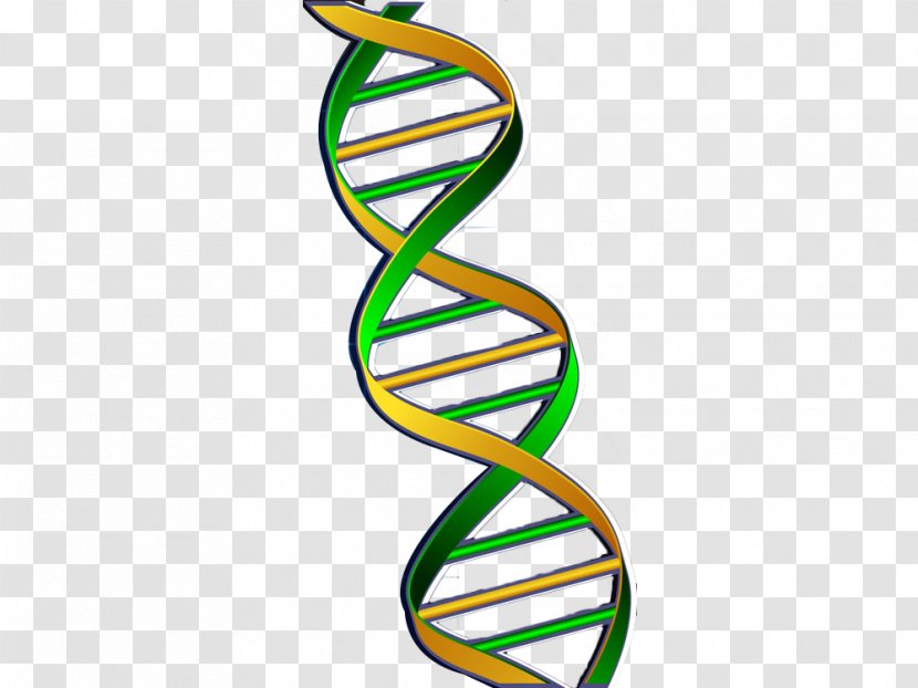 DNA Nucleic Acid Double Helix Gene Green - Body Jewelry - Chain Transparent PNG