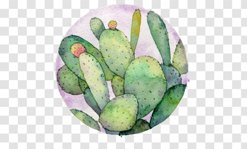Watercolor: Flowers Watercolor Painting Drawing Cactaceae - A Cactus Icon Transparent PNG