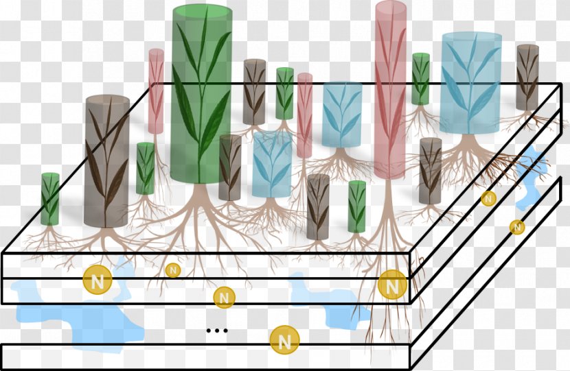 Helmholtz Centre For Environmental Research - Material - UFZ Conceptual Model Diagram GrasslandOthers Transparent PNG