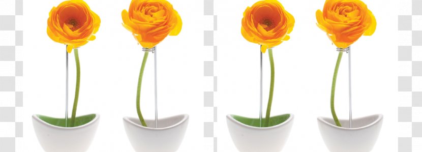 Vase Flowerpot Ceramic Decorative Arts Transparent PNG